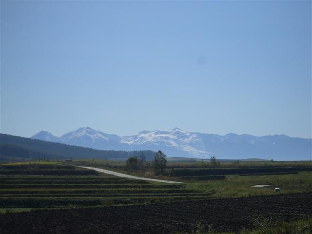 10.14 美瑛・旭川＆羽田へ 012_R.jpg