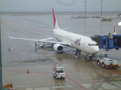 30th flight 中部→千歳 JAL3111