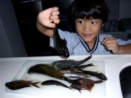 10.29 渓志と神島 015_R.jpg