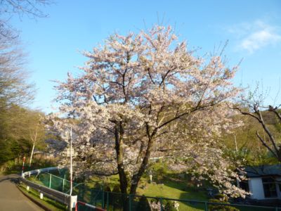 2011.05.17-18 室蘭 034_R.jpg