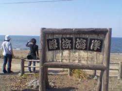 蜂浜海岸