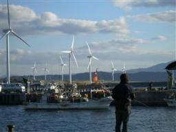 瀬棚港の鮭釣り