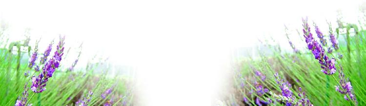 * 自転車ショップ * 送料無料も多数ございます