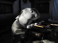 調神社(ﾂｷｼﾞﾝｼﾞｬ) (11).JPG