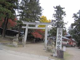 奈良公園 (57).JPG
