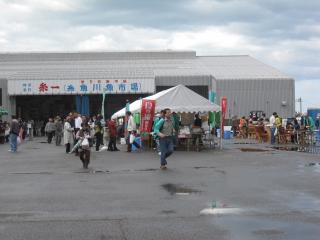 糸魚川さかな祭り.JPG