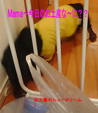 お土産な～に？？