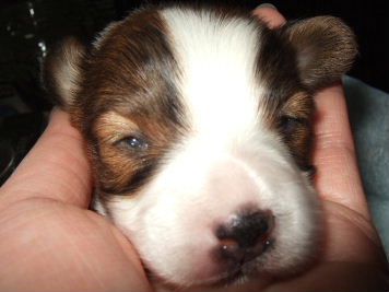Baby00040