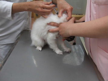 Baby00191
