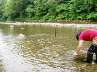 砂金堀に必死な父ちゃん