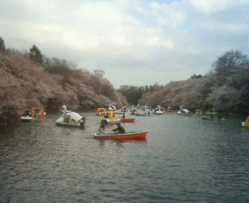 1004_井の頭公園