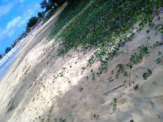 080922_Kariyushi Beach1