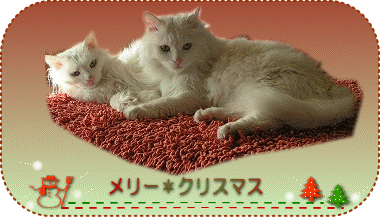 にゃんネェさんのプレゼント