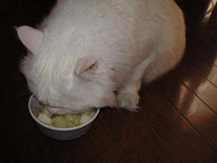 ご褒美のメロンはうまいにゃ