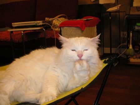 う～ん、うまかったにゃ。。。