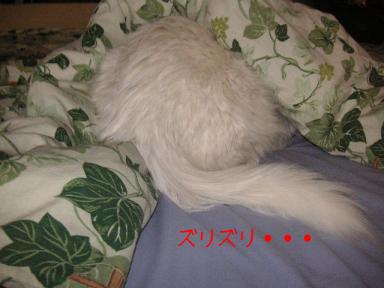 まだ眠いにゃよ。。