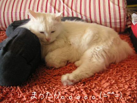 のんびりまったり。。。その２