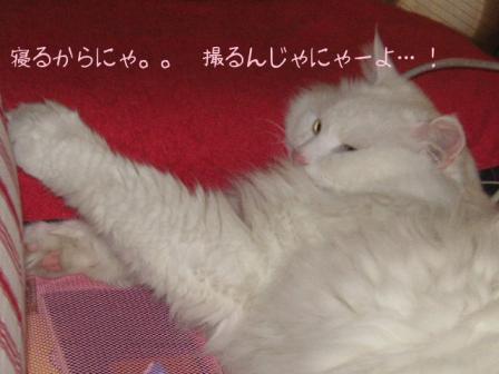 のんびりまったり。。。その３