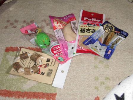 モンタへのプレゼント(=^･^=)