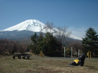 富士山とタヌキ