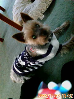 セーターあったかいよ。