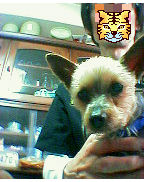 健太カメラに注目