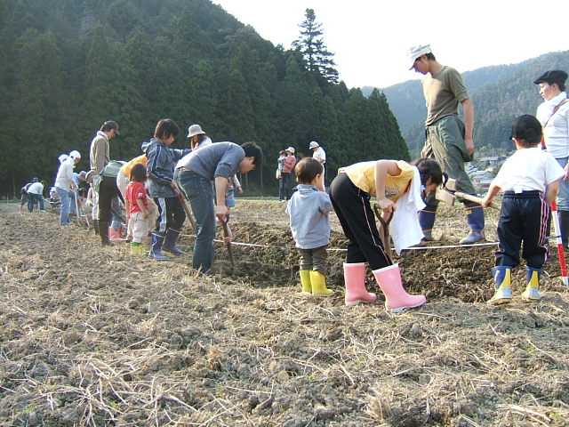 静原・畦づくり２