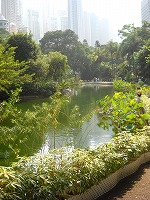 緑がきれい。でもとっても暑かった・・・・