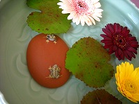 目が動きますｗ