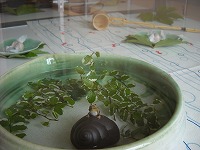 再び登場、かえる君。