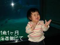 1歳1ヶ月　海遊館にて