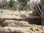 天王寺動物園0019.JPG