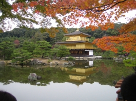 紅葉金閣寺