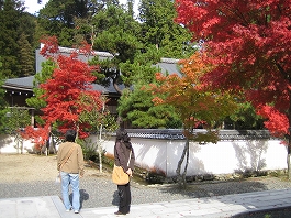 美女と紅葉＠漢陽寺