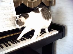 Ｕターン