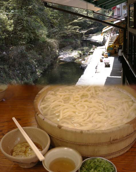 udon20090418.jpg