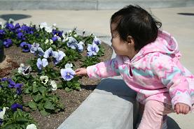 ＵＳＪでお花と