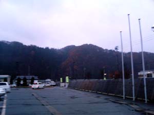 だーいぶ紅葉してます