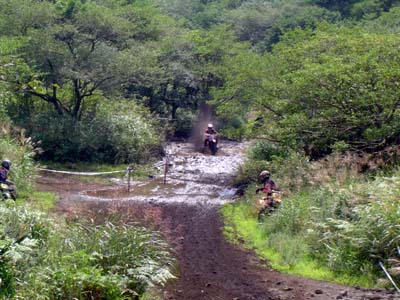 おかまいなしっ！