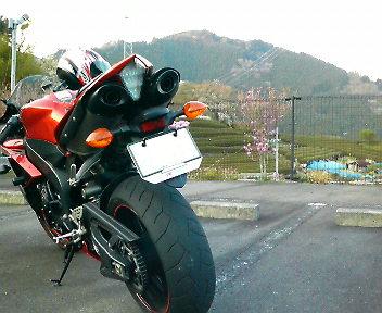 やはり、いい天気です♪