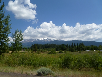 Mt. Shasta