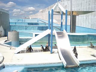 日陰に隠れてる（笑）