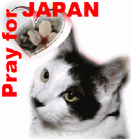 Pray for JAPAN　アイコン