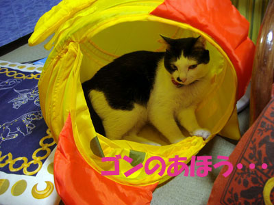 あひるとうしねこ～ズ