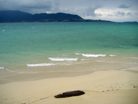 小浜島 ゲストハウス パナパナ 3匹目の猫 旅に出る 楽天ブログ