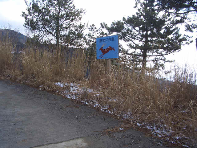 画像 24718650002.jpg