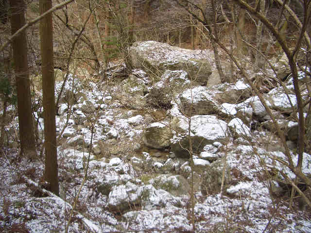 画像 24718750005.jpg