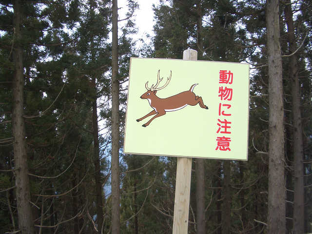 画像 24718740001.jpg