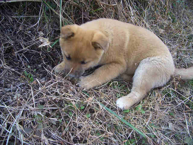 画像 24715050002.jpg