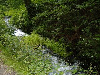 白糸の滝山道.jpg